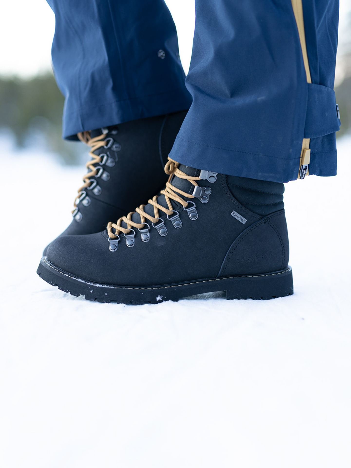 Finse Dalen Winterboot