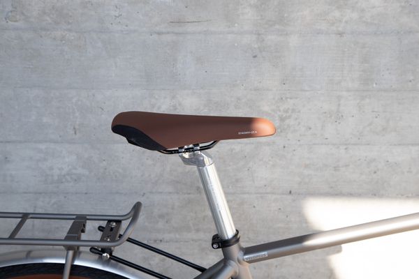 LAZY DAY GATES ALFINE 8 Men City- und Alltagsvelo  metall matt  48 CM