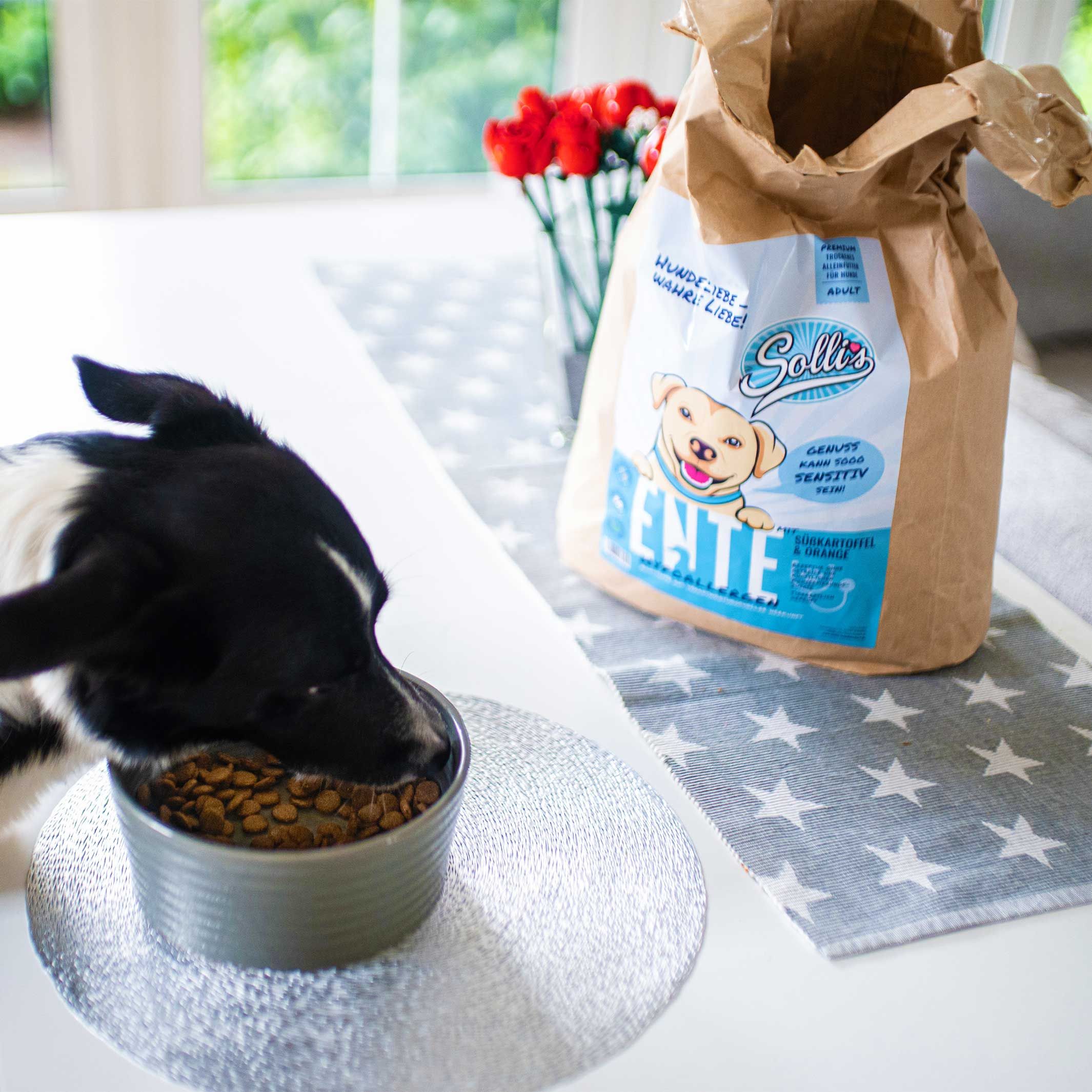 Sollis Trockenfutter für Hunde – Ente-Regular