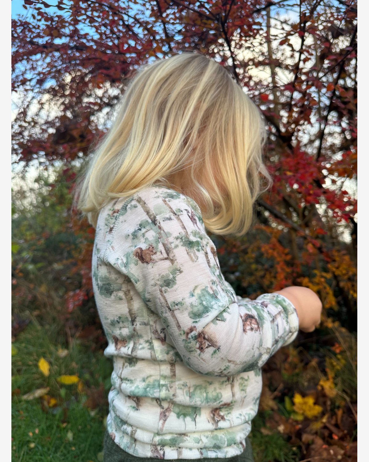 Ulltrøye Langermet – 100% Merino | Basic
