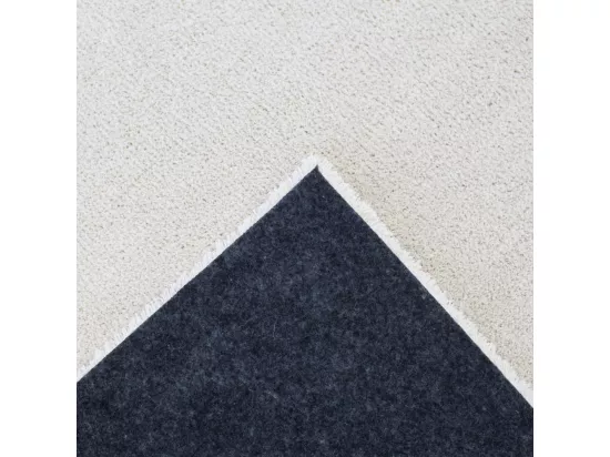 Diego I - Tapis lavable en machine - Écru - 140x200cm