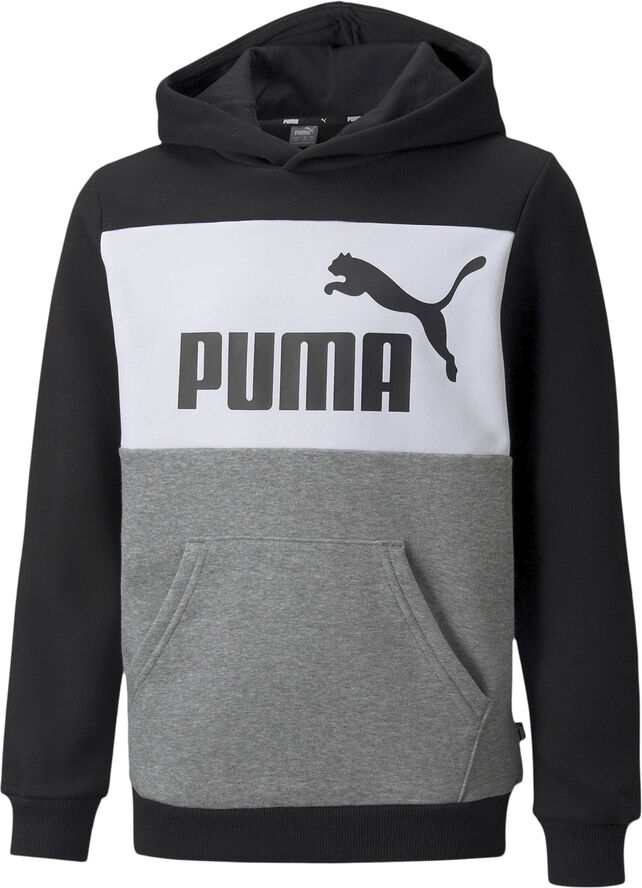 Puma Essentials  Colourblock hættetrøje Sort