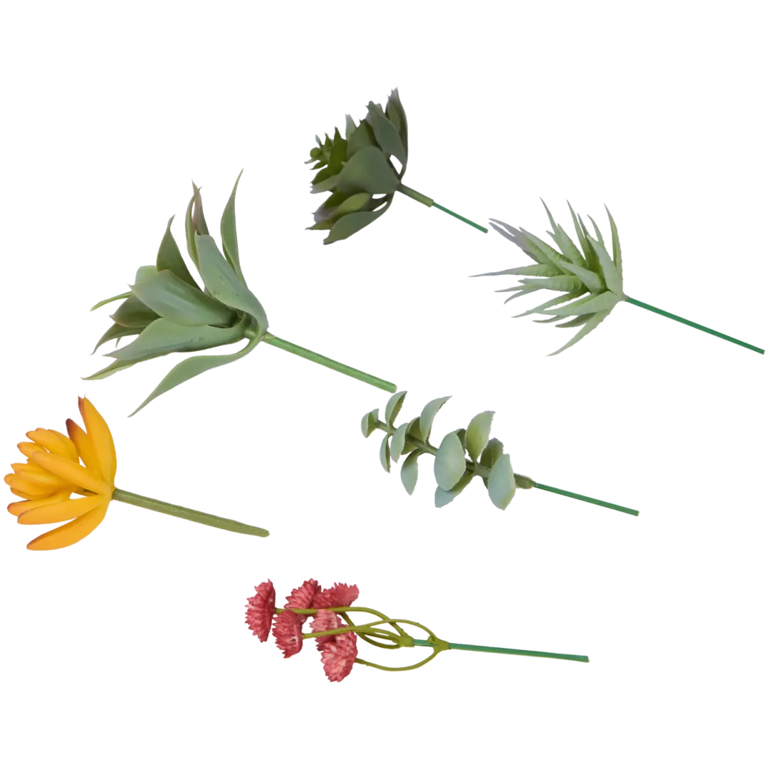 Plantes grasses artificielles