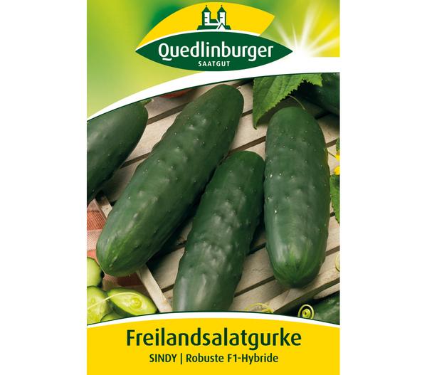 Quedlinburger Samen Freilandsalatgurke 'Sindy'