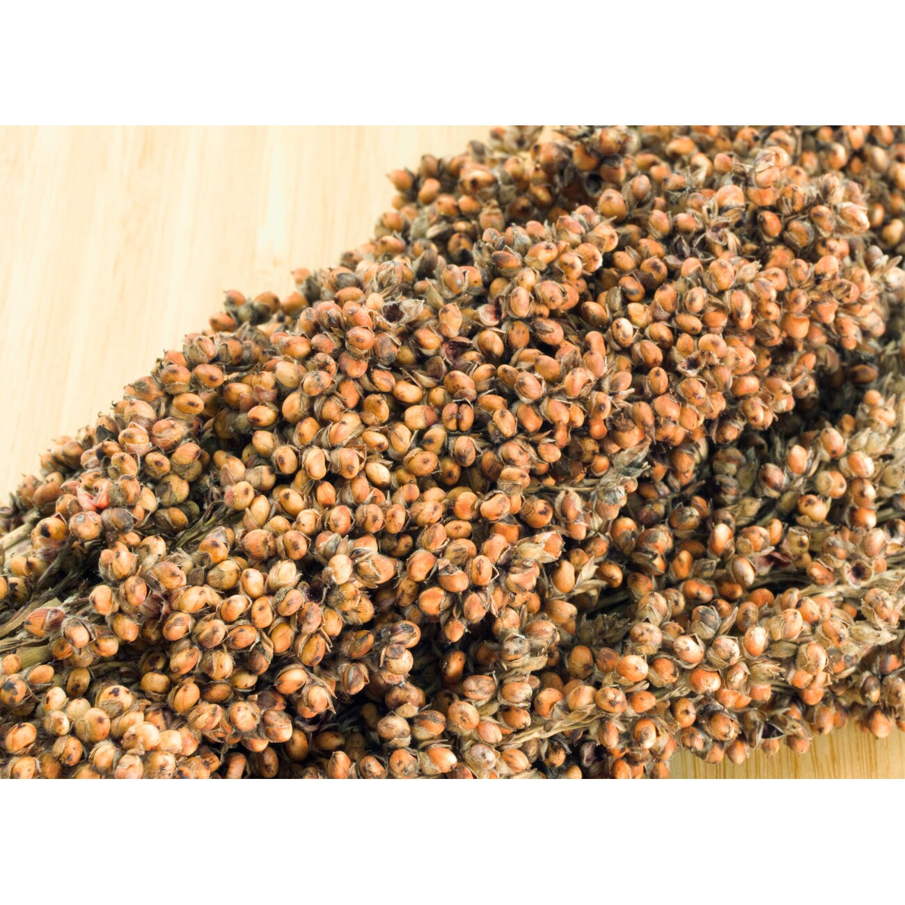 Getzoo Sorghum weiß - getrocknet (Bund)