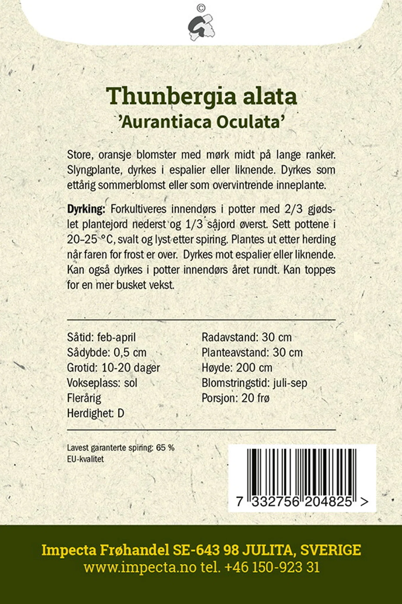 Thunbergia alata 'Aurantiaca Oculata' Susanne med det sorte øyet 'Aurantiaca Oculata'