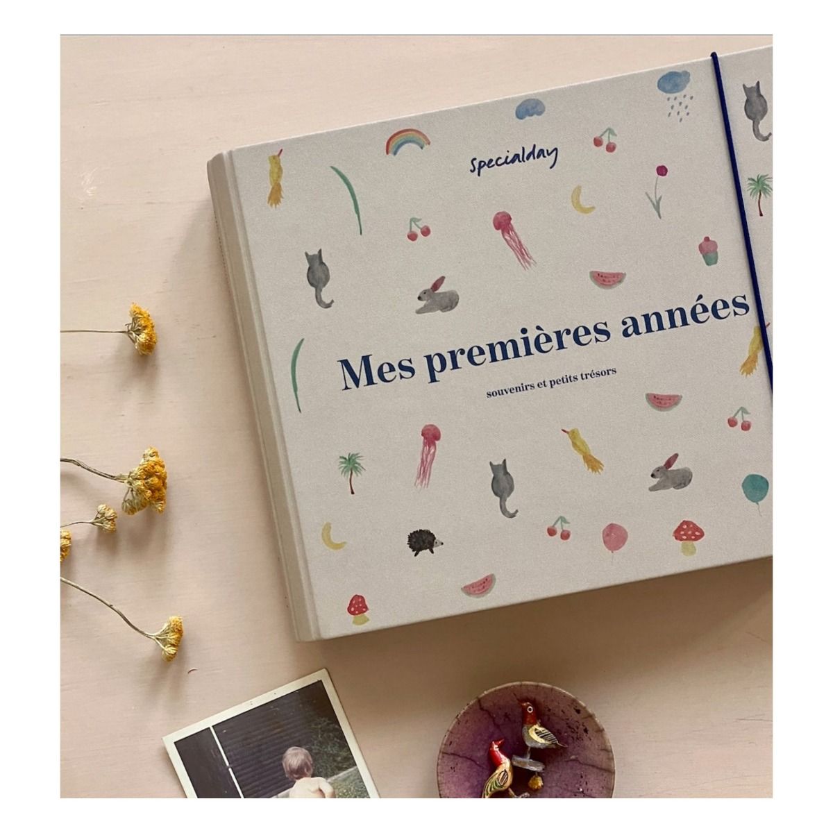 Livre de naissance 