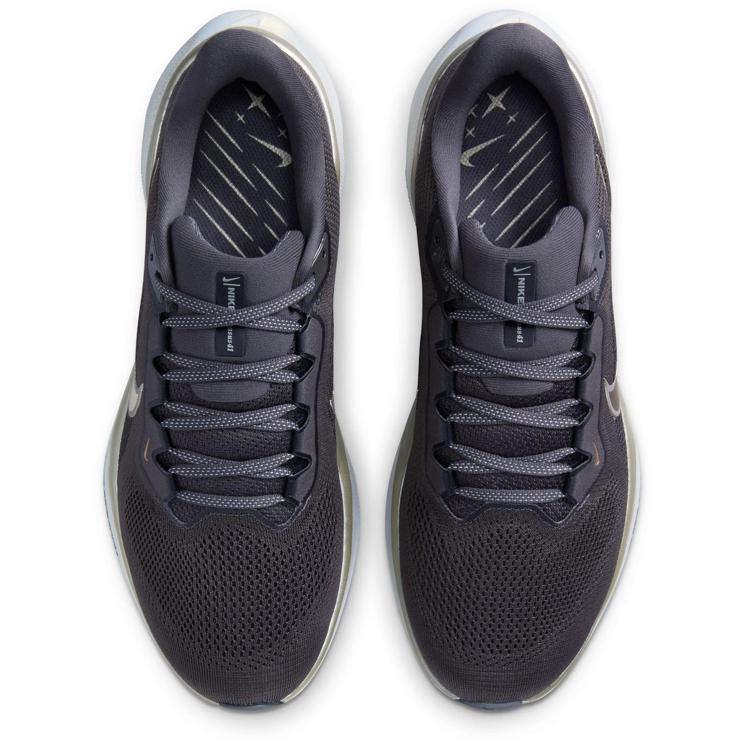Nike Pegasus 41 JI Heren