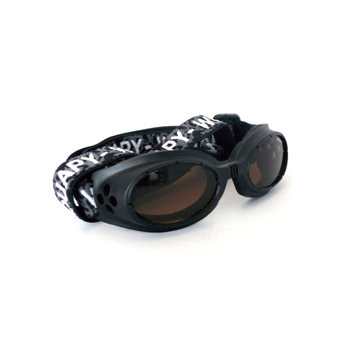 Lunettes de soleil pour chien