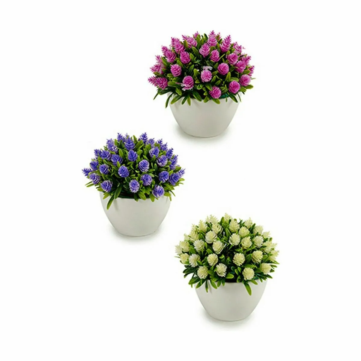 Ibergarden Plante Fleurs 12 Unités