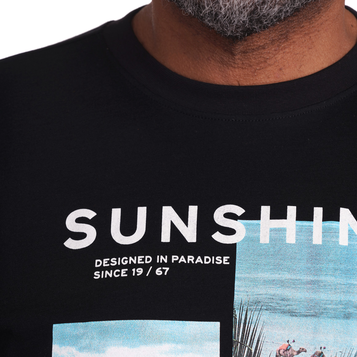 VanVaan Herren-T-Shirt mit großem Print schwarz