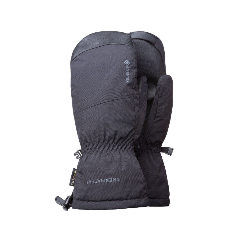 Chamonix GTX Mitten - Moufles homme