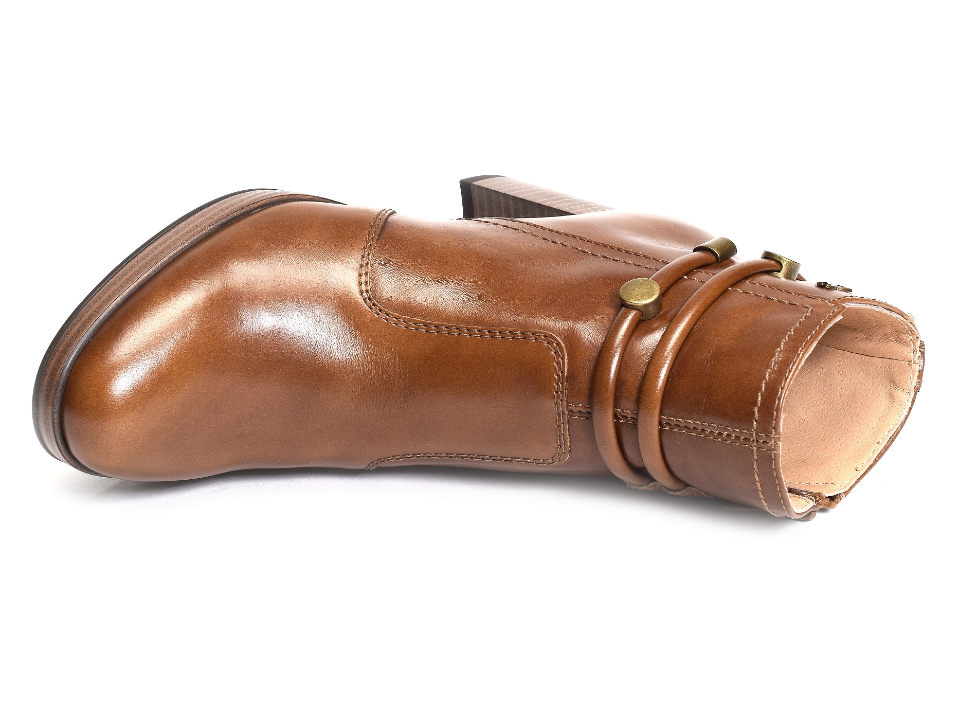 08246 camel