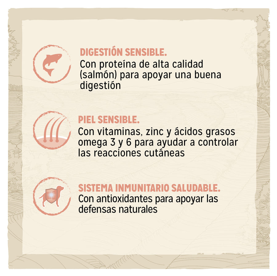 Ração para cães Dog Chow Sensitive Salmon
