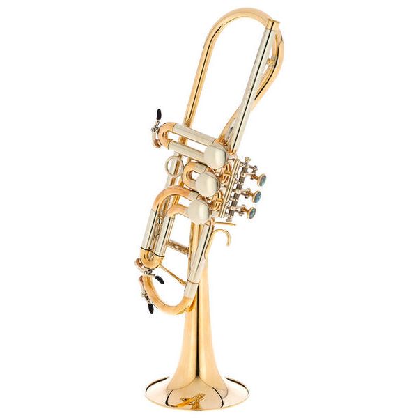 Schagerl Ganschhorn heavy 2021 UL