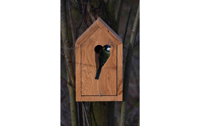 dobar green label Nistkasten »green label Design« Holzart: Eiche (Europa)