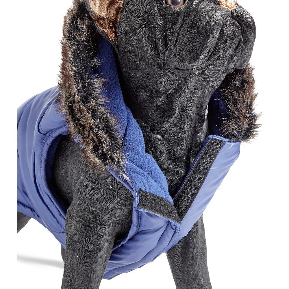 Doudoune pour chien à capuche avec fourrure bleu - Taille XL