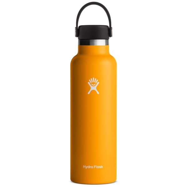 Bouteille isotherme HYDROFLASK 21 OZ STANDARD FLEX CAP STARFISH