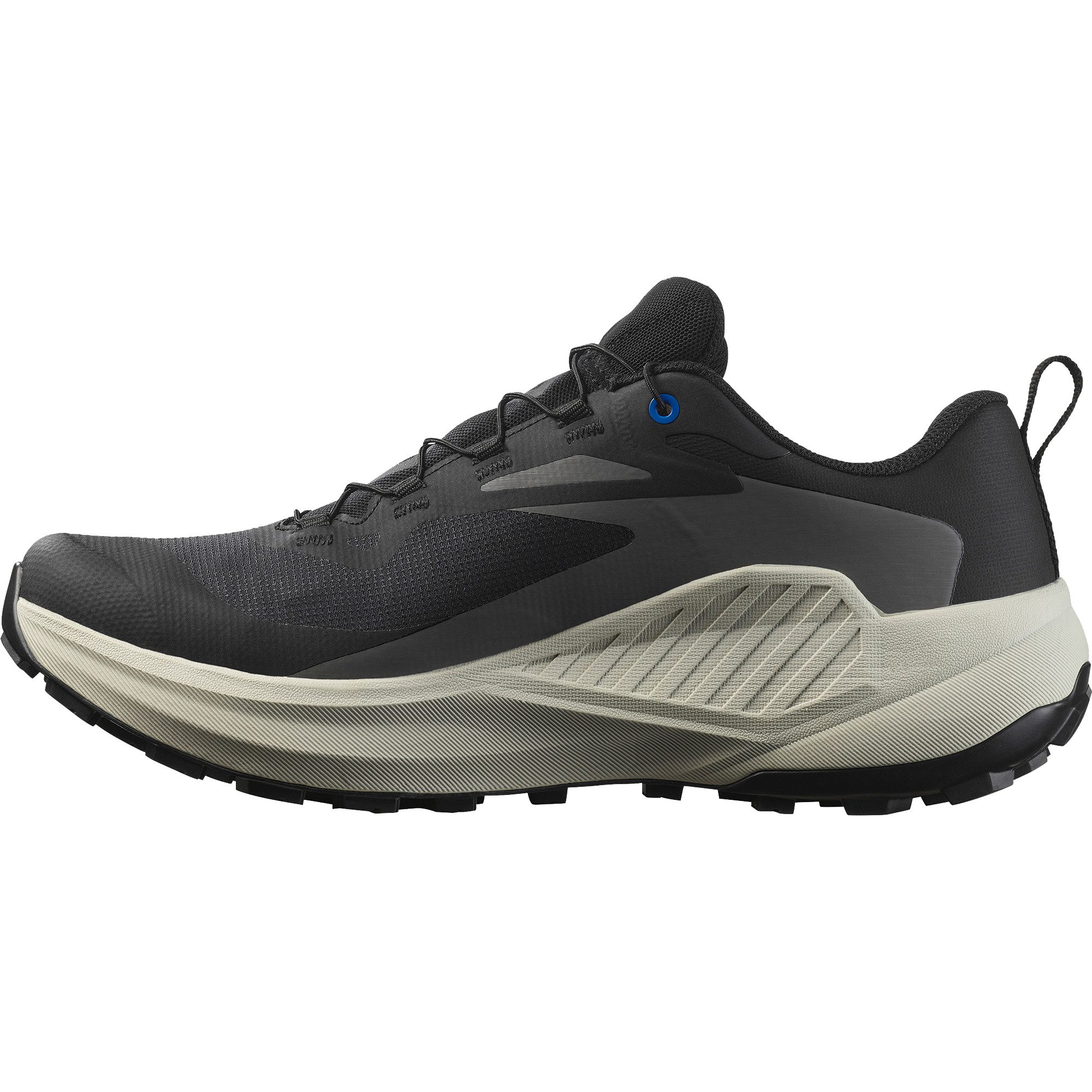 Salomon Genesis GORE-TEX® Trailrunningschuhe Herren schwarz