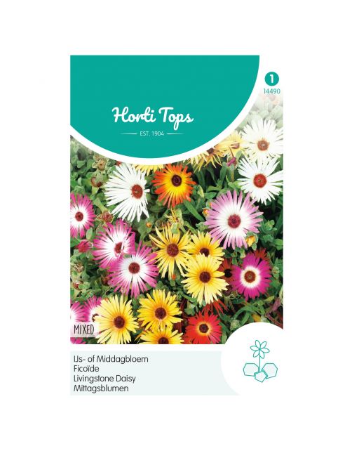 Hortitops Dorotheanthus - Ijs- Of Middagbloem Gemengd - Bloemenzaden - 500 g