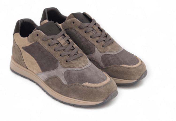Cycleur de luxe P1 Chicory