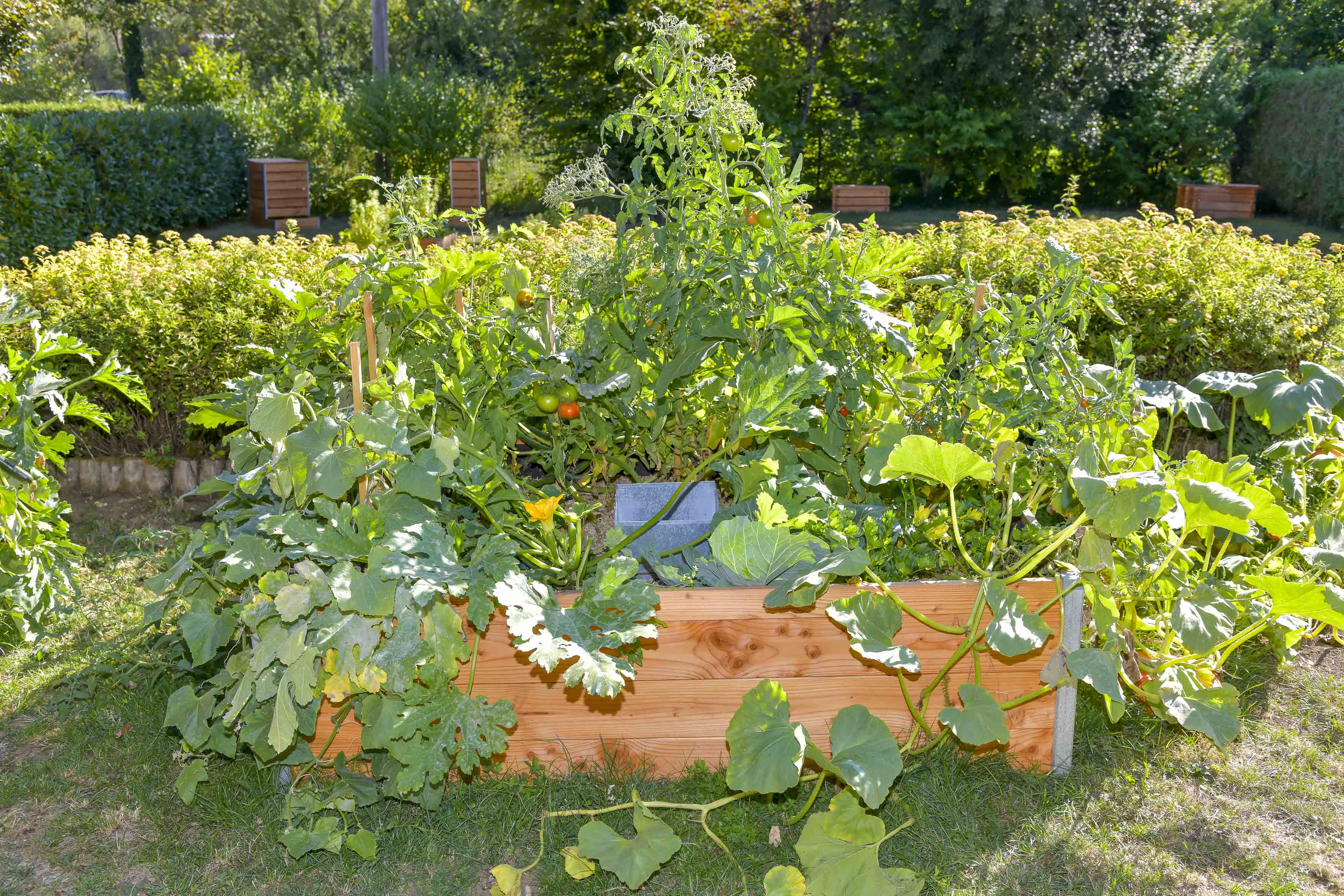 Keyhole garden médium - carré potager avec composteur intégré