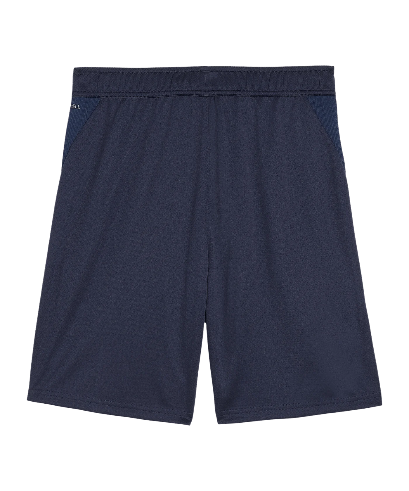 PUMA teamGOAL Training Shorts Blau F06