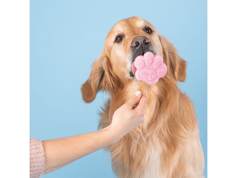 Smoofl Erdbeereis 160 g Erfrischendes Erdbeereis für Hunde