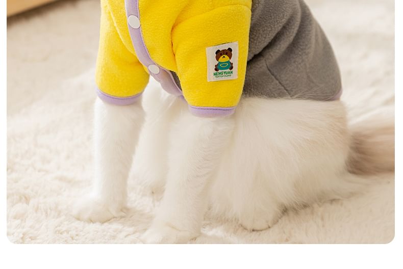 Cissilli - Color Block Pet Top