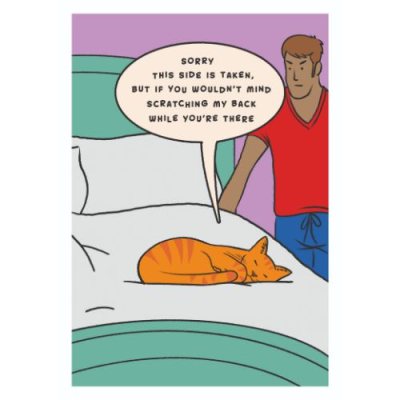 Scratch My Back Cat Card