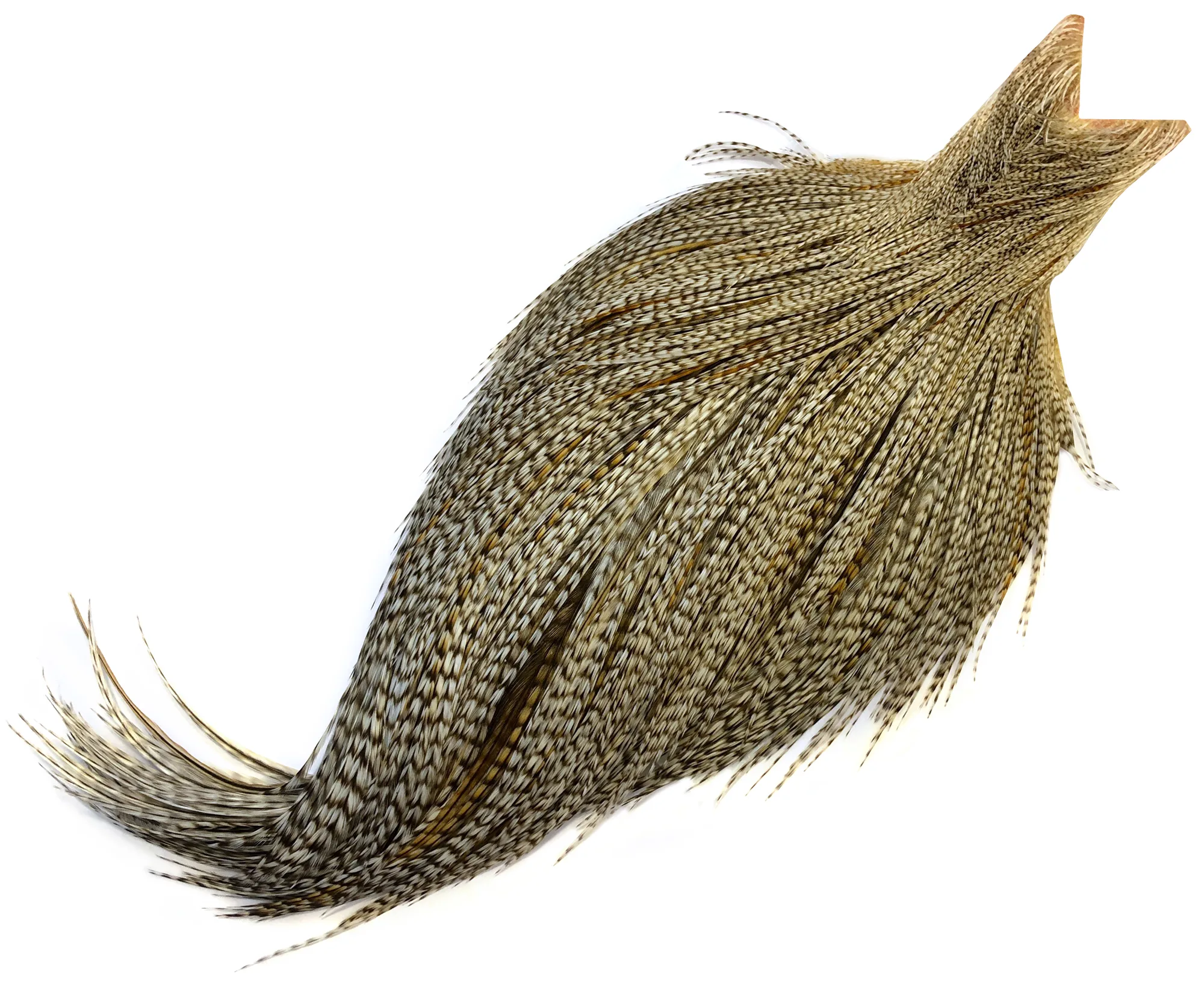 Whiting Dry Fly Cape - Unique Variant Bronsegradering