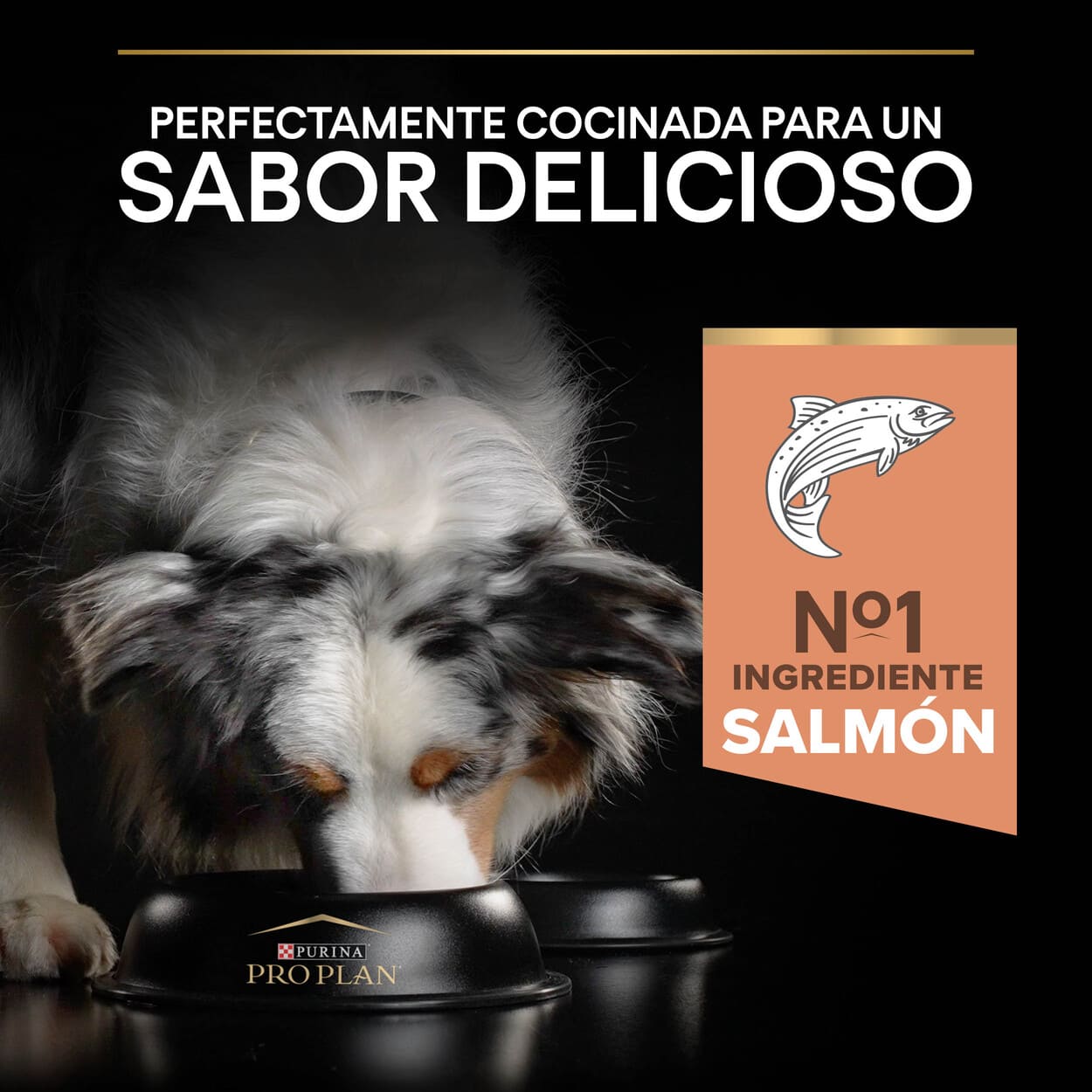 Ração Pro Plan Adult Medium Sensitive Skin com Salmão para cães.
