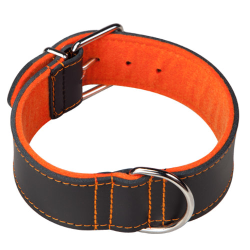 Coleira laranja para cães Arppe Superfelt Choppers