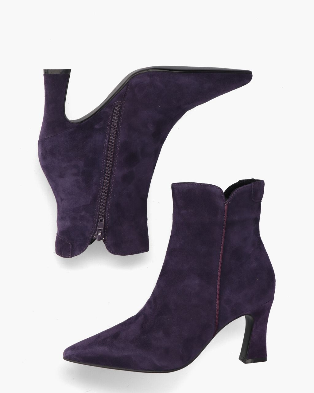 Di Lauro Sterre Paars Dames Enkelboots