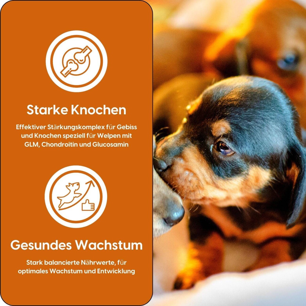 Balloony.pet German Shephy Welpenfutter Truthahn 3 kg