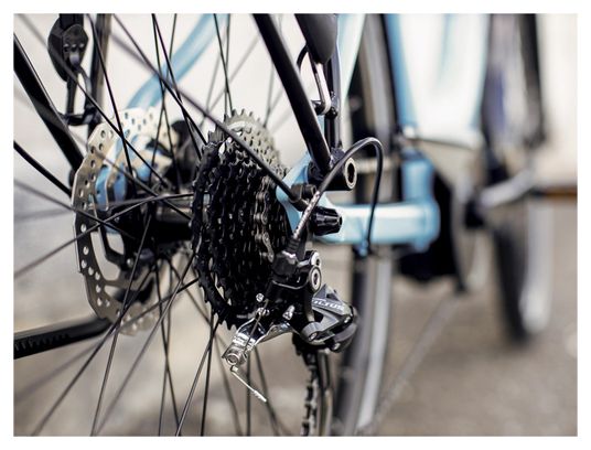Vélo de Ville Électrique Trek Verve  2 Lowstep Bosch 300Wh Shimano Altus 9V Azure