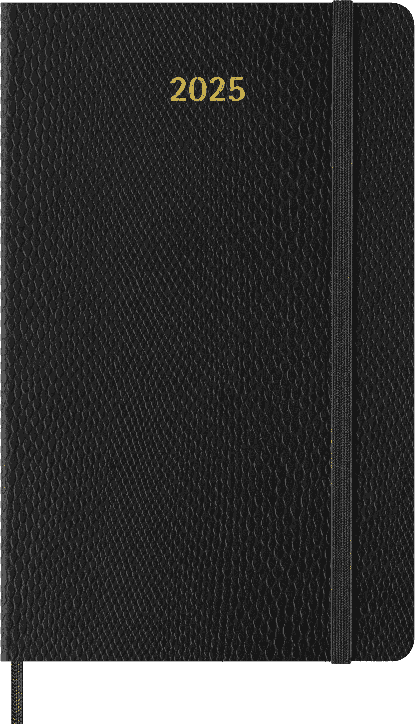 Precious & Ethical Planner 2025 Weekly, 12-Month, Vegan Cover