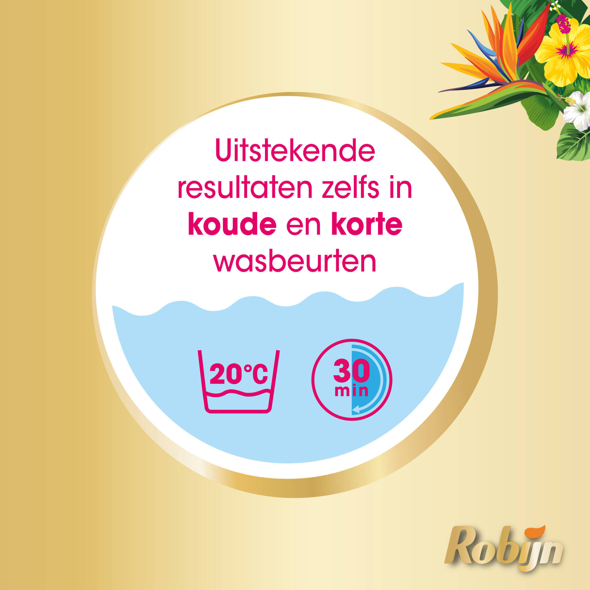 Robijn vloeibaar wasmiddel Color Tropical - 8 x 19 wasbeurten - 152 wasbeurten
