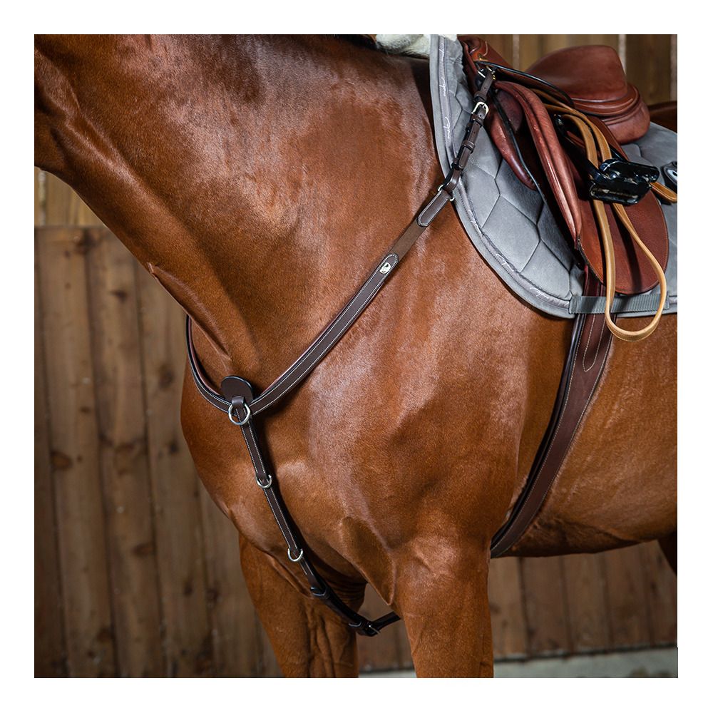 Dy'on WORKING - Collier de chasse brun