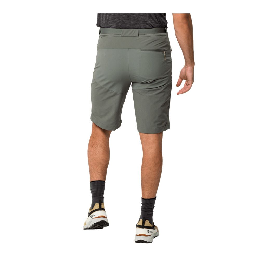 Jack Wolfskin ZIEGSPITZ - Short Homme gecko green
