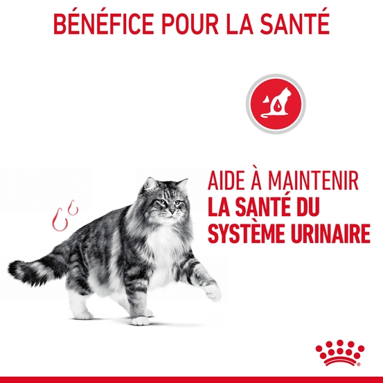 Croquettes chat Adulte santé du système urinaire Urinary 4kg