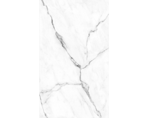 Doucheachterwand SCHULTE DecoDesign marmerlook soft touch 255 x 150 cm D19015254 883