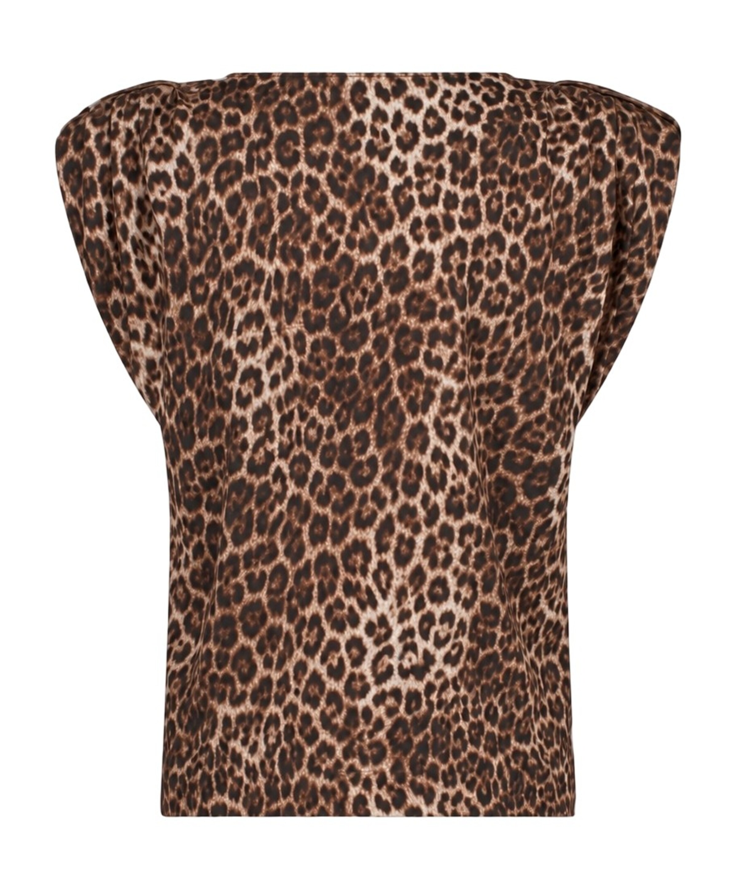 Studio Anneloes Dames top bruin