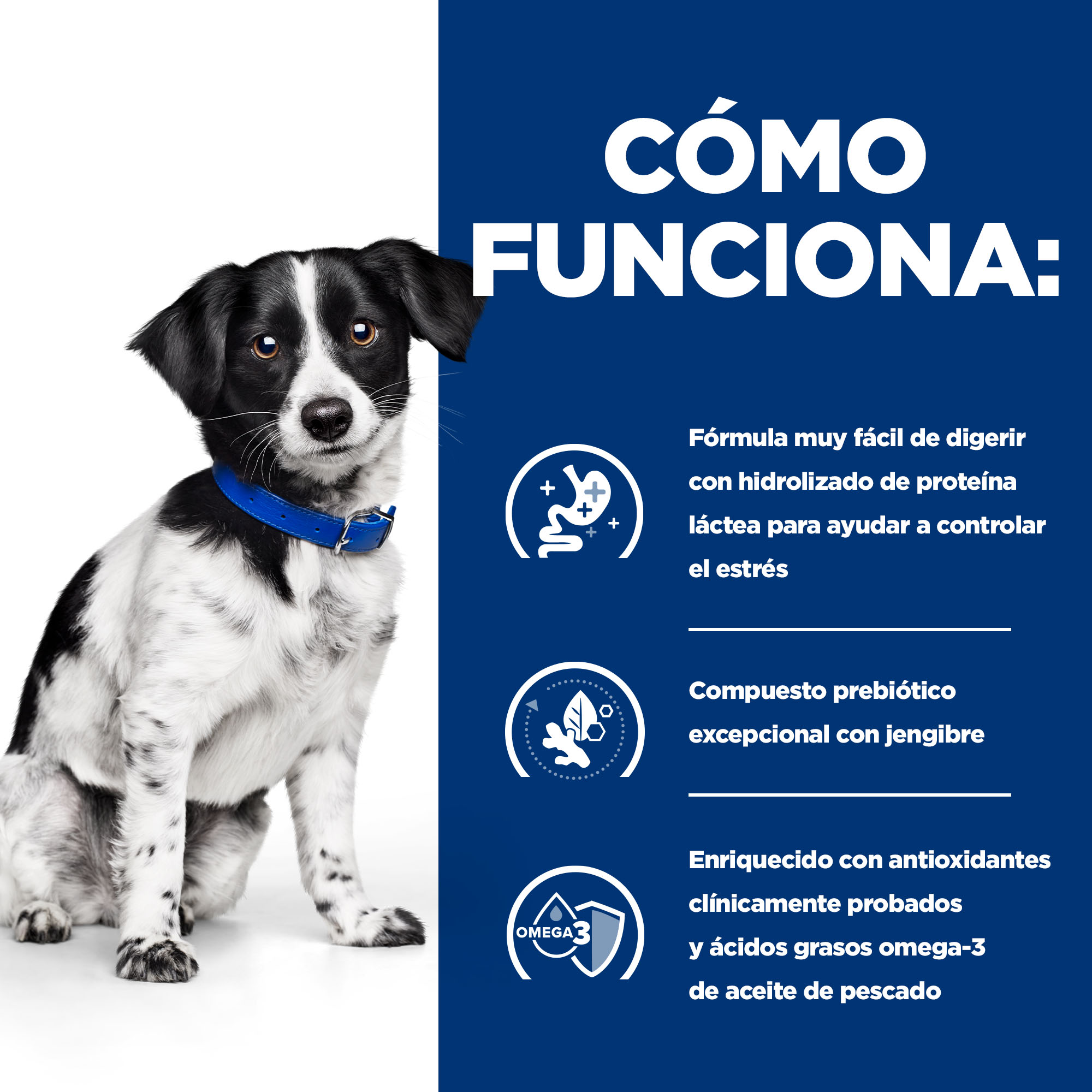 Hill's Prescription Diet Mini Digestive Care Stress i/d pienso para perros