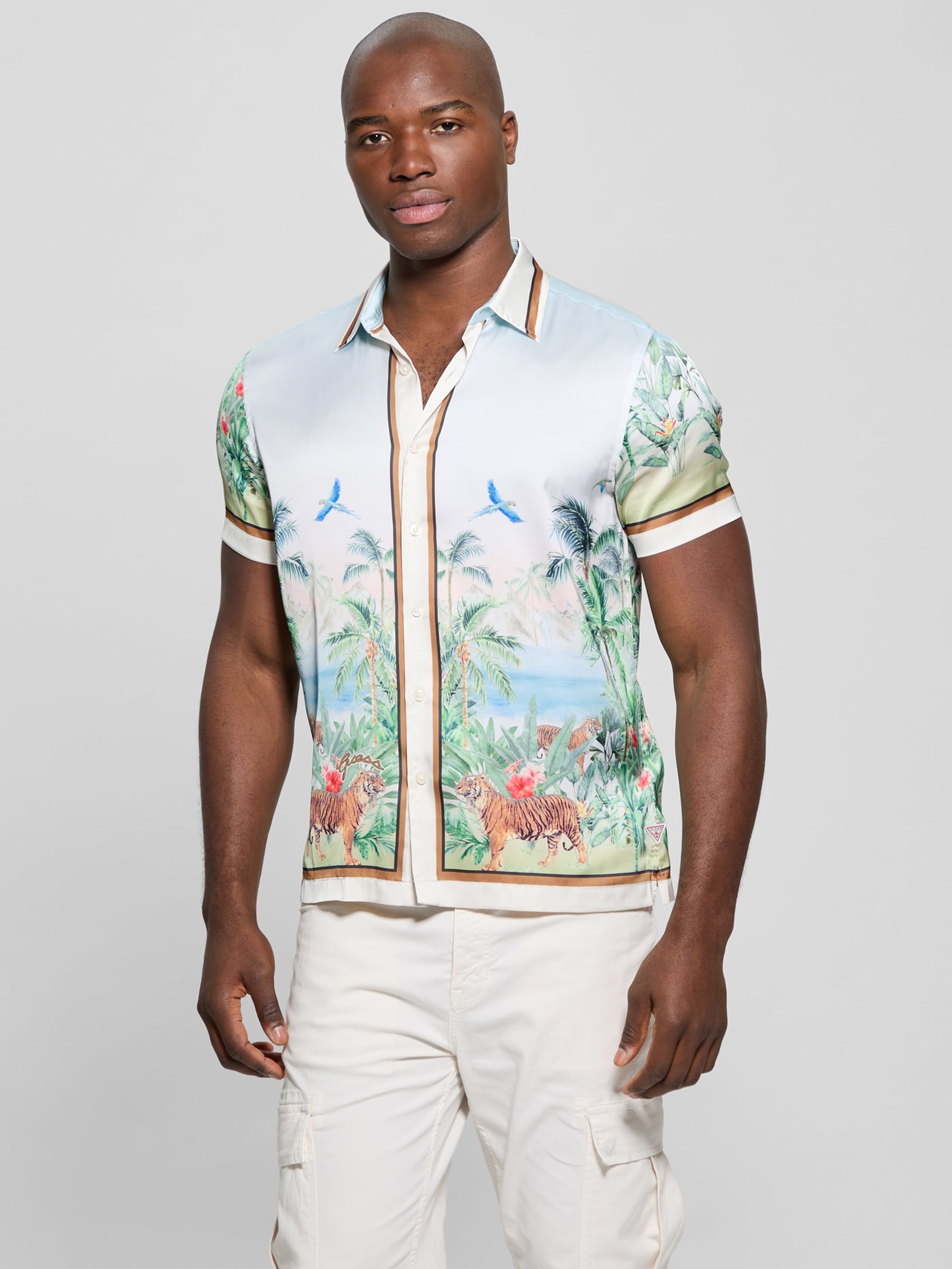 Camiseta Eco Big Cat