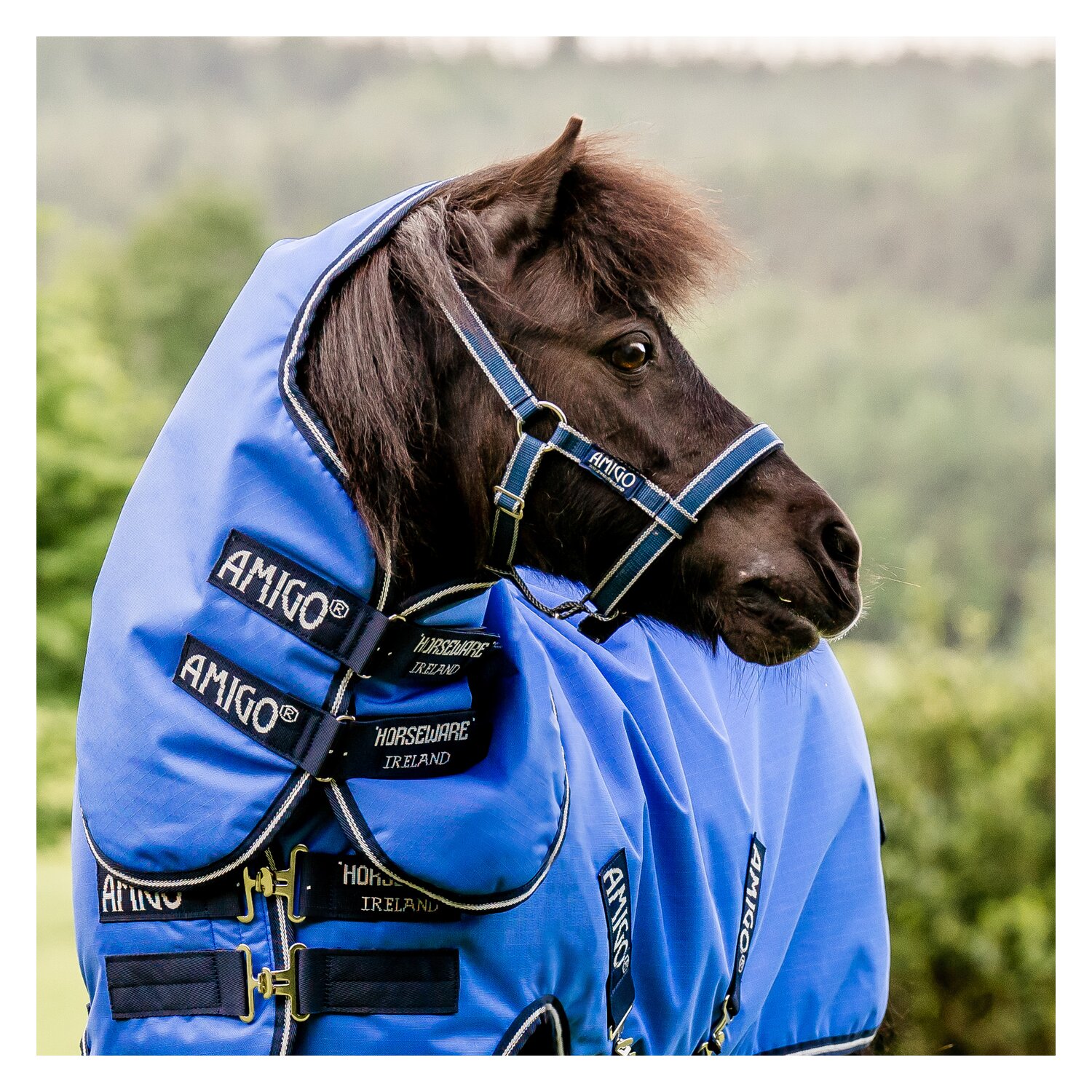 HORSEWARE Halsteil AMIGO Hero Ripstop - blue/navy