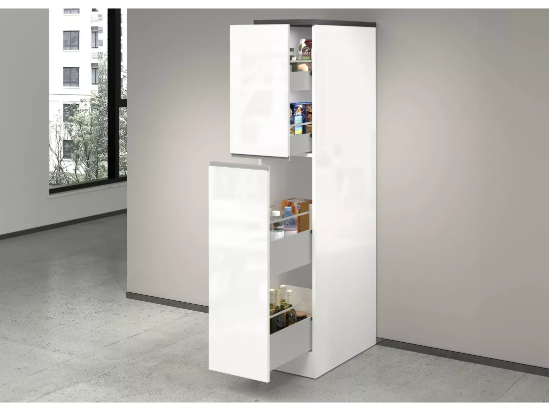 Buffet de Cuisine Dcasiragh, Armoire polyvalente, Meuble de kitchenette, Support réfrigérateur multifonctionnel, 100% Made in Italy, 30x60h165 cm, Blanc brillant et ardoise