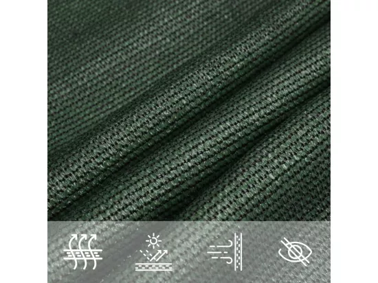 Voile d'ombrage 160 g/m² Vert foncé 4x5 m PEHD