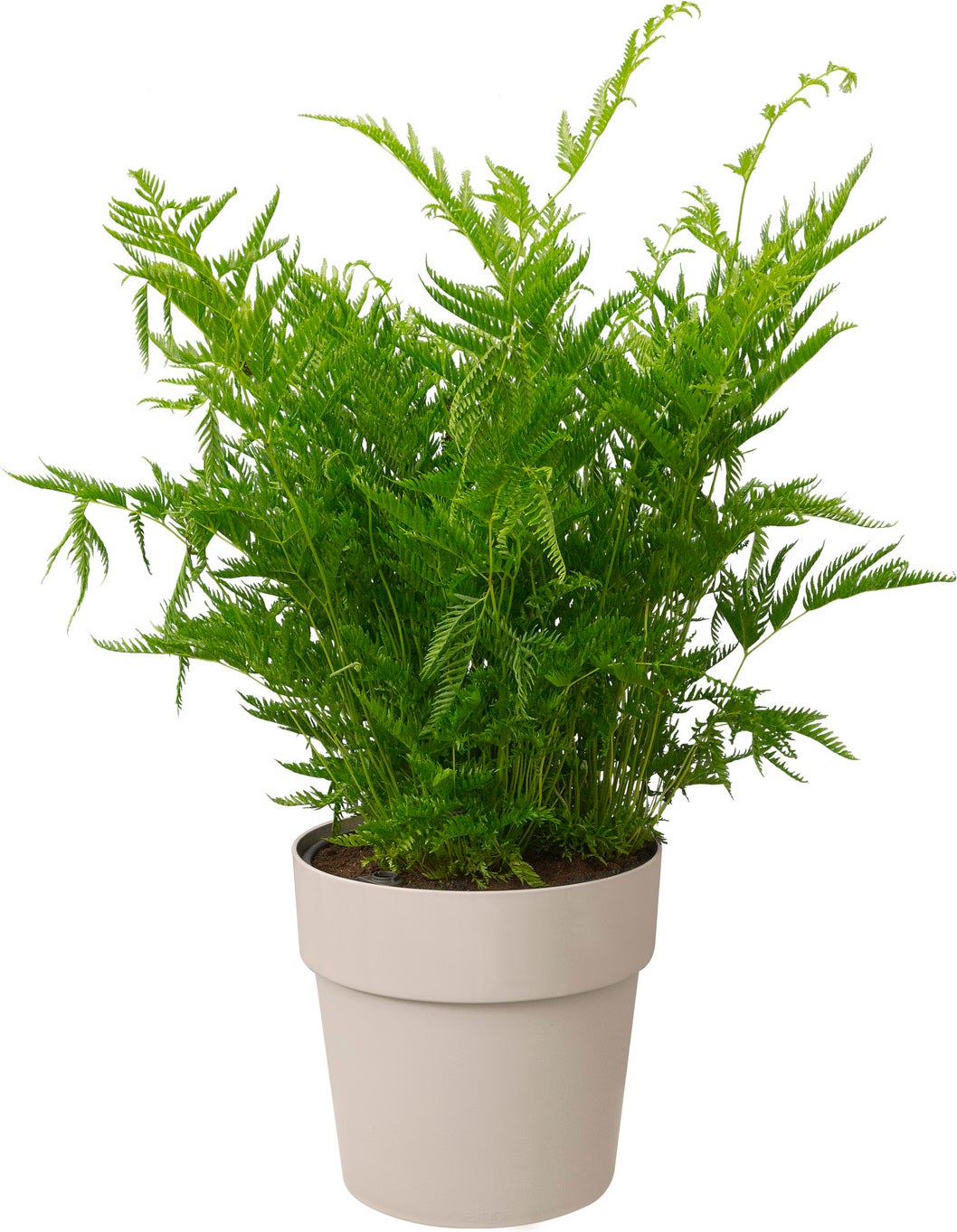 Elho bloempot B for original rond D 14 H 12,8 cm grijs