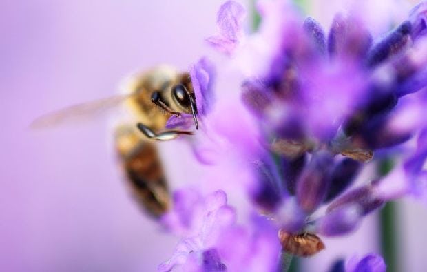 Fotokurs Karlsruhe als Geschenk